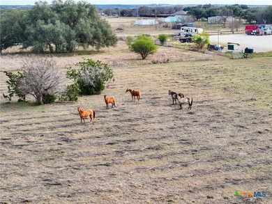 Prime Commercial Acreage located on high traffic FM 2484 and - photo 17