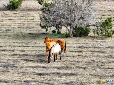 Prime Commercial Acreage located on high traffic FM 2484 and - photo 20