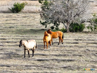 Prime Commercial Acreage located on high traffic FM 2484 and - photo 21
