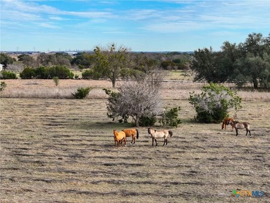 Prime Commercial Acreage located on high traffic FM 2484 and - photo 22