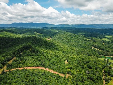 Introducing Lot 5 by Norris Lake in Union County, Tennessee: - photo 14