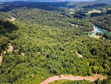 Introducing Lot 5 by Norris Lake in Union County, Tennessee: - photo 17