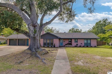 Welcome to the charming Pink House on Park, a spacious and - photo 1