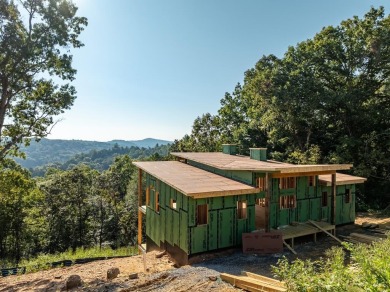 Cartecay River - Gilmer County Home For Sale in Ellijay Georgia