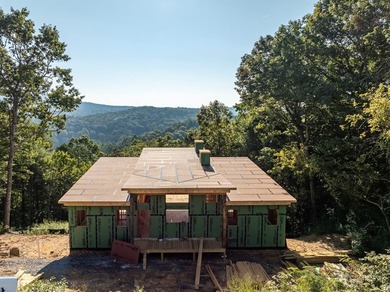 Cartecay River - Gilmer County Home For Sale in Ellijay Georgia