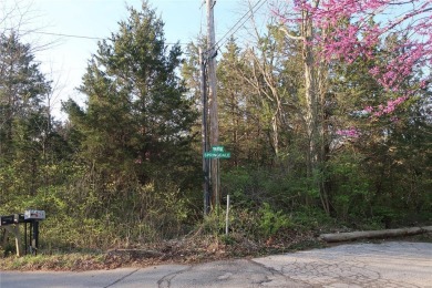 (private lake, pond, creek) Lot For Sale in Cedar Hill Missouri