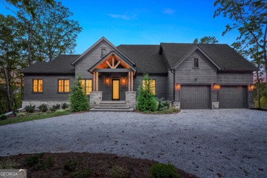 Lake Home For Sale in Tiger, Georgia