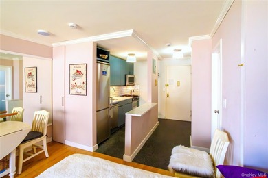 This beautifully gut-renovated (2015) studio offers outstanding - photo 17