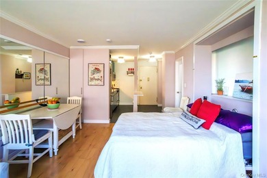 This beautifully gut-renovated (2015) studio offers outstanding - photo 18