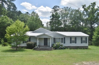 (private lake) Home For Sale in Reidsville Georgia