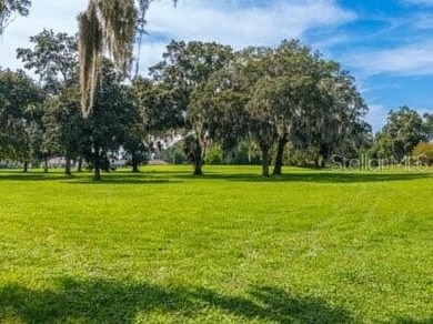 This Ocala Palms Pinto II model is absolutely picture perfect - - photo 36