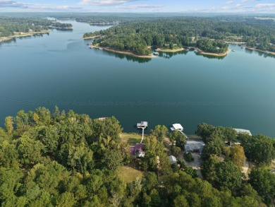 Smith Lake (Main Channel) Rare availability on the Walker County - photo 37