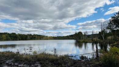 Welcome to your private paradise! 327 acres of rural land! - photo 10