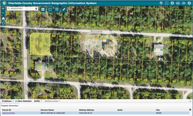 Great corner lot available. It has a house already built in the - photo 1