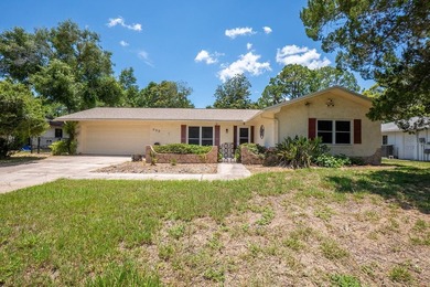 Affordable Palm Coast home on a quiet street! Close to shopping - photo 1