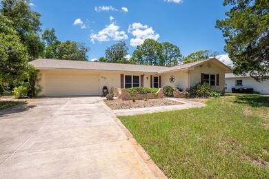 Affordable Palm Coast home on a quiet street! Close to shopping - photo 4
