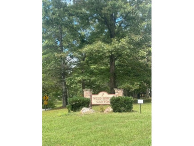 Lake Nottely Acreage Active Under Contract in Blairsville Georgia