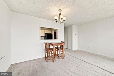 Welcome home to this bright 2 bedroom, 1 bath condo in Radnor - photo 6