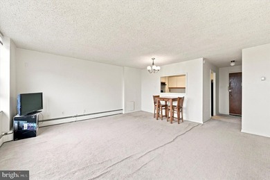 Welcome home to this bright 2 bedroom, 1 bath condo in Radnor - photo 7