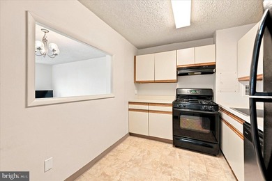 Welcome home to this bright 2 bedroom, 1 bath condo in Radnor - photo 9