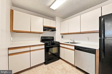 Welcome home to this bright 2 bedroom, 1 bath condo in Radnor - photo 10