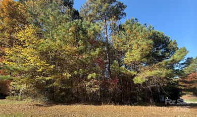 Lake Norman Lot For Sale in Sherrills Ford North Carolina