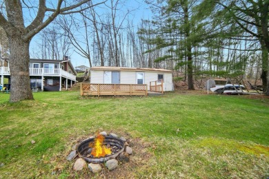 Lake Home For Sale in Reed City, Michigan