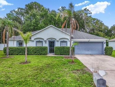 Opportunity awaits at 195 Parkview Drive in Palm Coast! This - photo 1