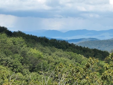 (private lake, pond, coastal) Acreage For Sale in Ellijay Georgia