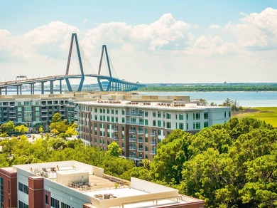 Penthouse living at Tides IV with stunning top-floor views of - photo 1