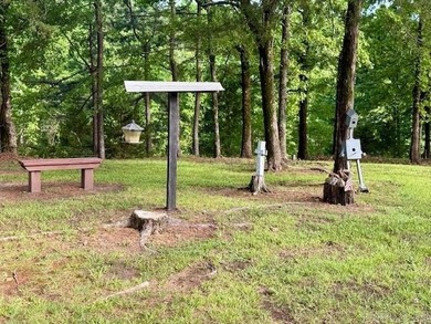 MOTIVATED SELLER! PRICE REDUCED!! PEACEFUL LAKE OUACHITA - photo 4