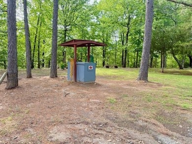 MOTIVATED SELLER! PRICE REDUCED!! PEACEFUL LAKE OUACHITA - photo 5