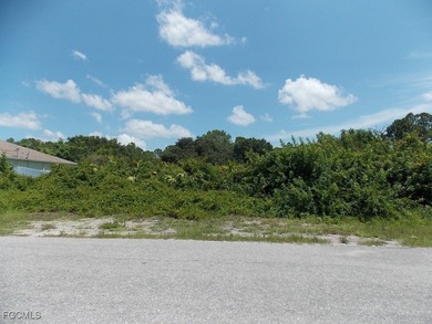 Lehigh Acres Area Lot For Sale in Lehigh Acres Florida