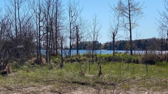Portage Lake - Manistee County Lot For Sale in Onekama Michigan