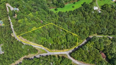 Toccoa River - Fannin County Lot For Sale in Mineral Bluff Georgia