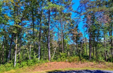 Lake Lot For Sale in Ellijay, Georgia
