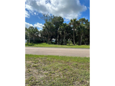 Intracoastal gated, waterfront community in Flagler Beach - photo 24
