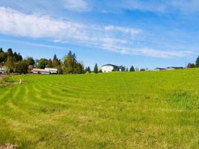 Lake Lot For Sale in Tekoa, Washington