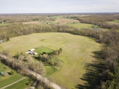 Pleasant Lake - Hillsdale County Acreage For Sale in Osseo Michigan
