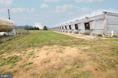 34+ Acre Greenhouse & Agricultural Facility Exceptional - photo 9