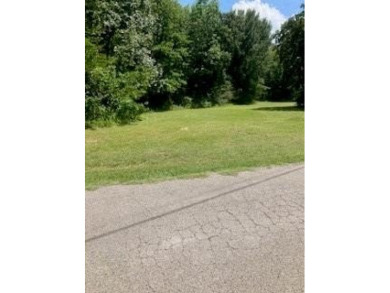 Lake Lot For Sale in Gun Barrel City, Texas