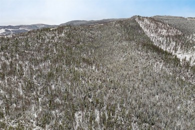 A once in a lifetime opportunity to own a remarkable 607-acre - photo 12