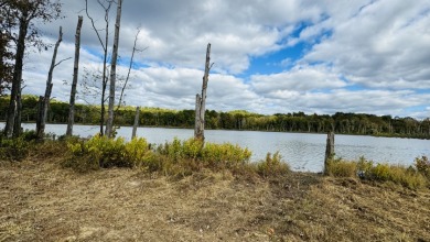 Welcome to your private paradise! 327 acres of rural land! - photo 12