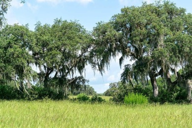 Lake Lot For Sale in Umatilla, Florida