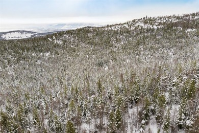 A once in a lifetime opportunity to own a remarkable 607-acre - photo 21