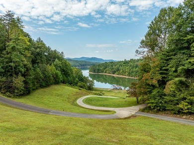 Lake Acreage For Sale in Morganton, Georgia