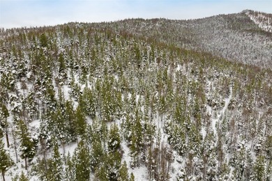 A once in a lifetime opportunity to own a remarkable 607-acre - photo 22