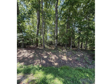 Lake Cortez Lot For Sale in Hot Springs Village Arkansas