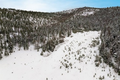 A once in a lifetime opportunity to own a remarkable 607-acre - photo 31