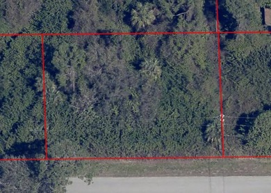 Lehigh Acres Area Lot For Sale in Lehigh Acres Florida